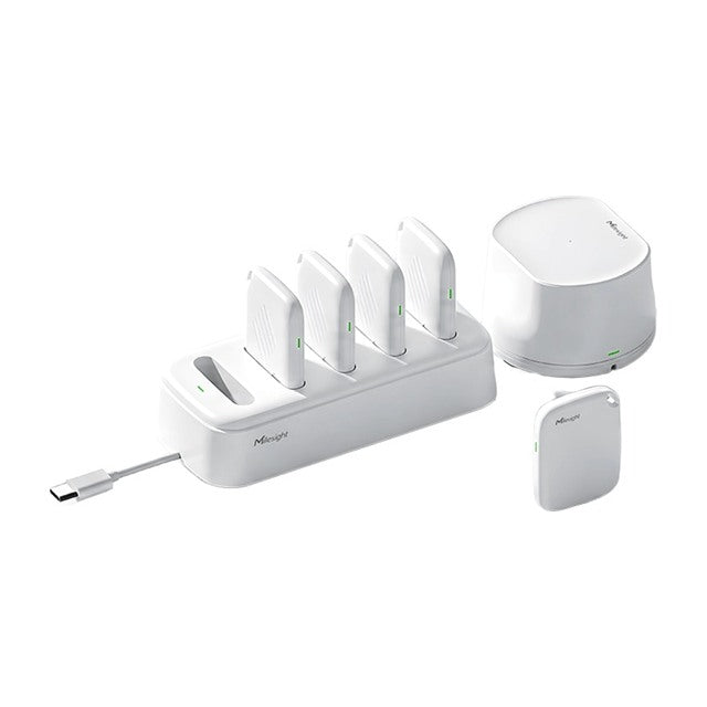 Milesight VA05 UWB staff detection kit